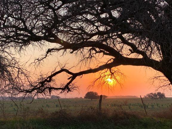 Ph Ernesto Bosco La Pampa
