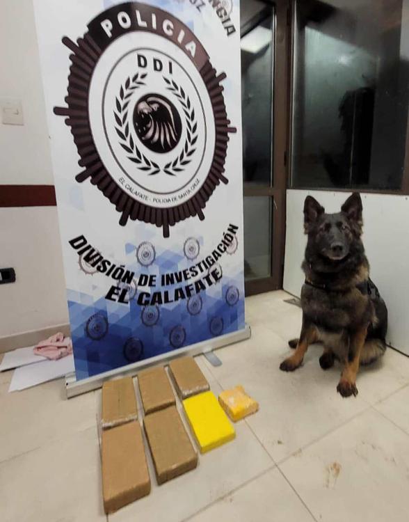 Operativo antidroga 1