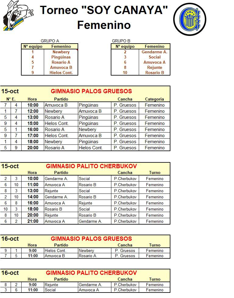 Torneo Femenino Voley Canaya