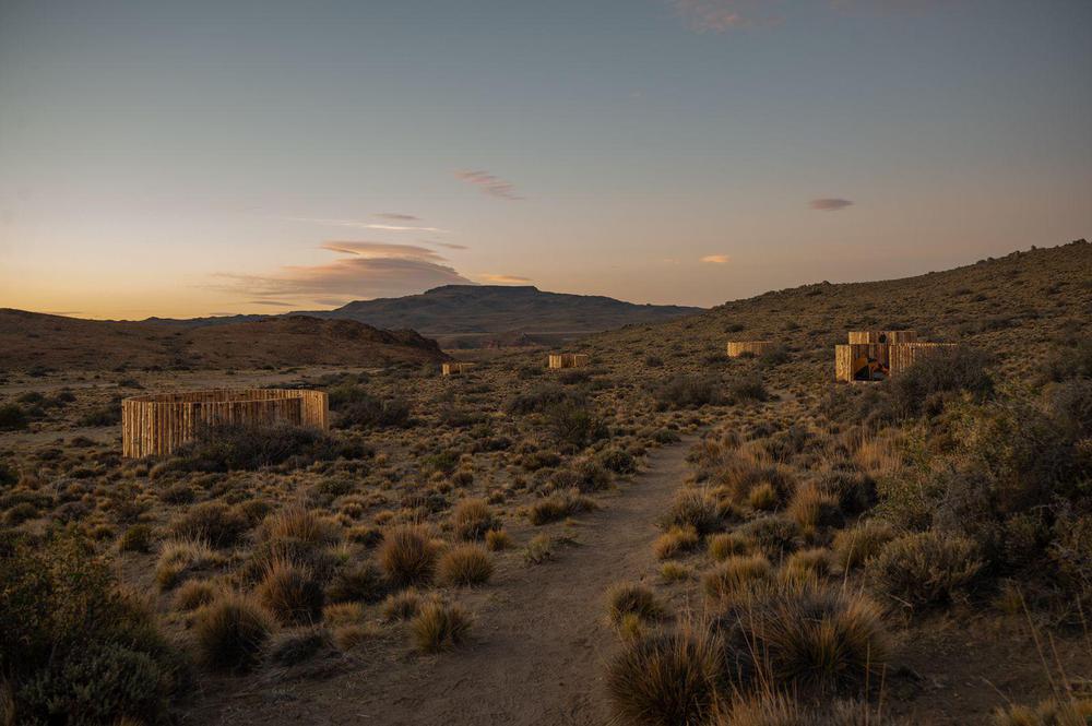 WhatsApp Image 2023-01-31 at 12.42.03