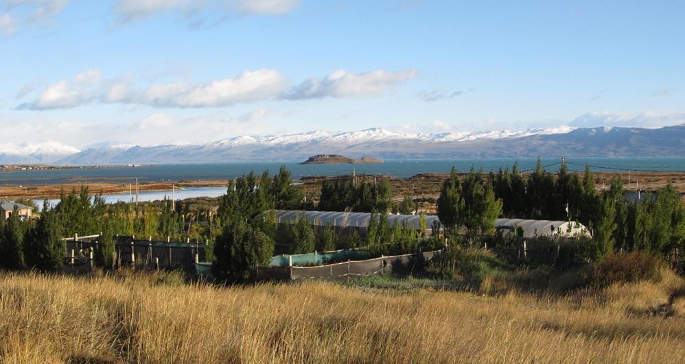 vivero Los Coirones 6