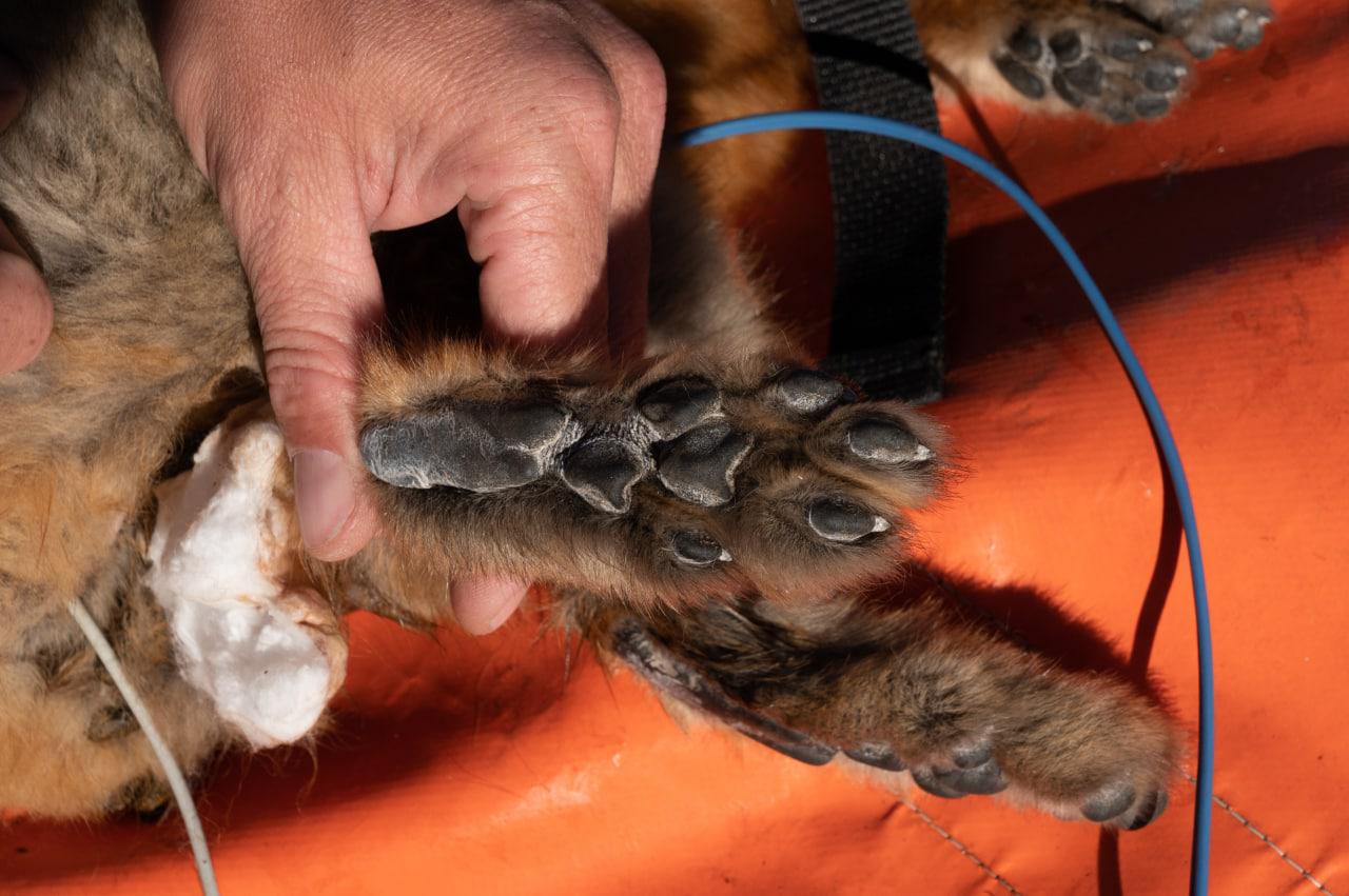 WhatsApp Image 2022-07-01 at 5.51.48 PM