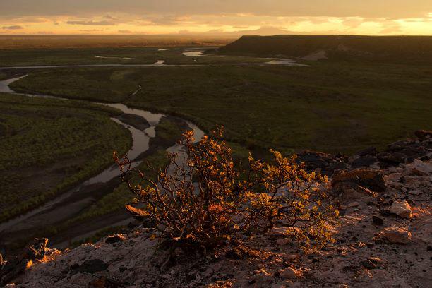 Ph Dayana Etcheverry La Pampa