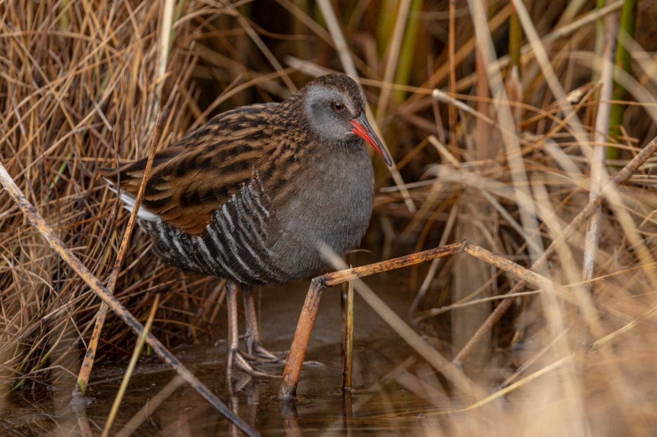 WhatsApp Image 2022-11-10 at 17.50.51