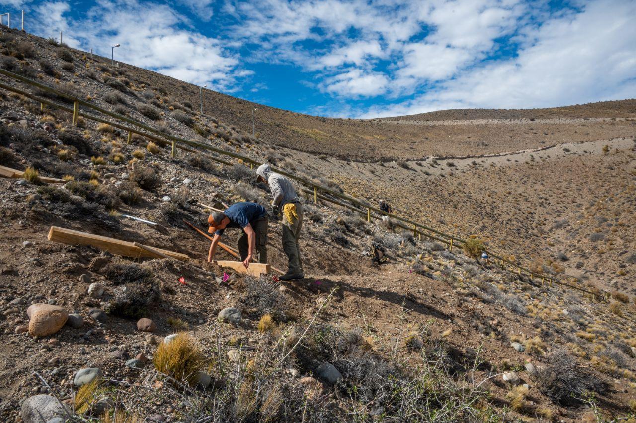 Sendas Parque Patagonia 09