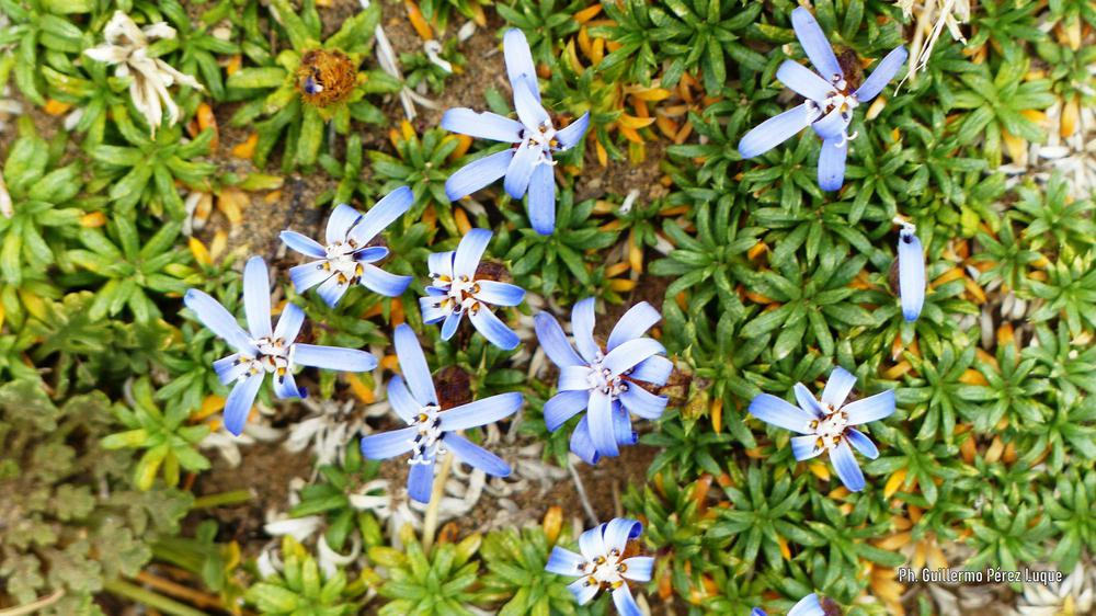 P1450264 [AUDIO FMD]