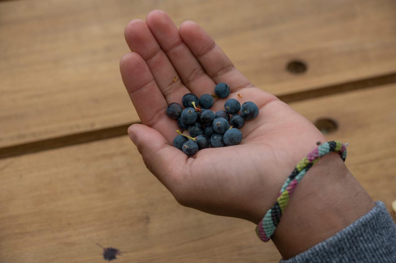 WhatsApp Image 2023-01-24 at 10.49.11