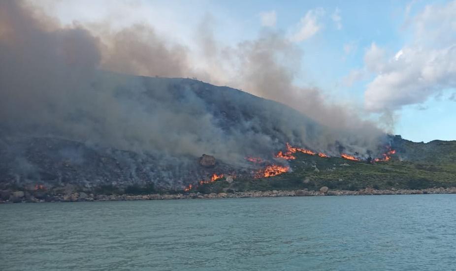 3375ab53-480f-42ef-8dc8-b2c65542a7dc