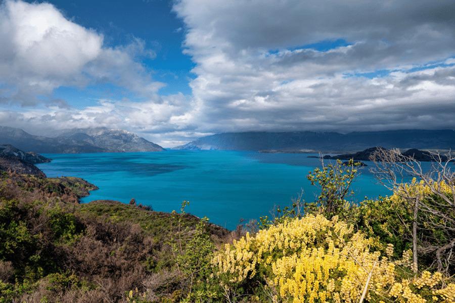 WhatsApp Image 2022-06-24 at 1.03.55 PM (3)