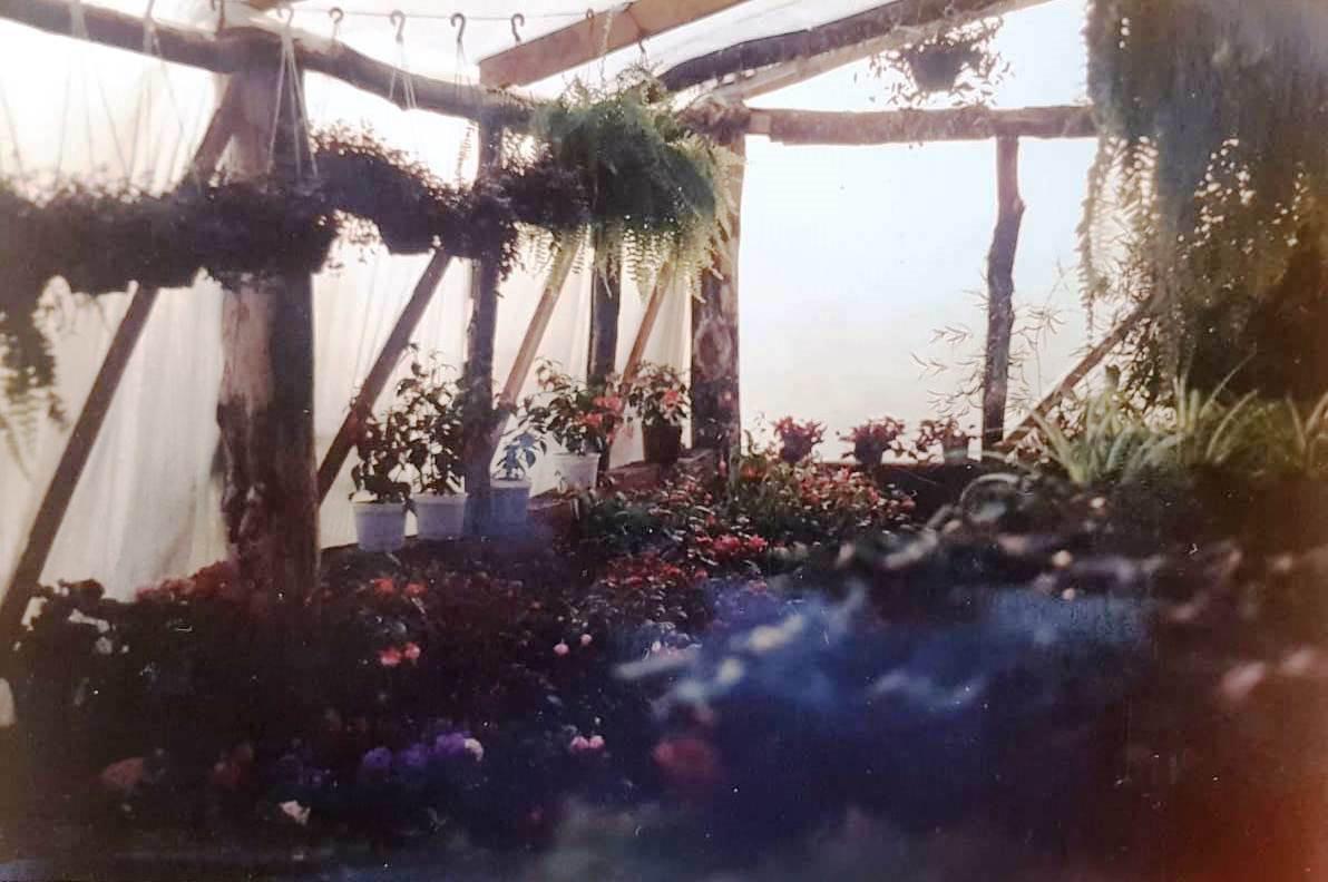 vivero Los Coirones 4