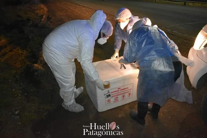 FB_IMG_1682200178865