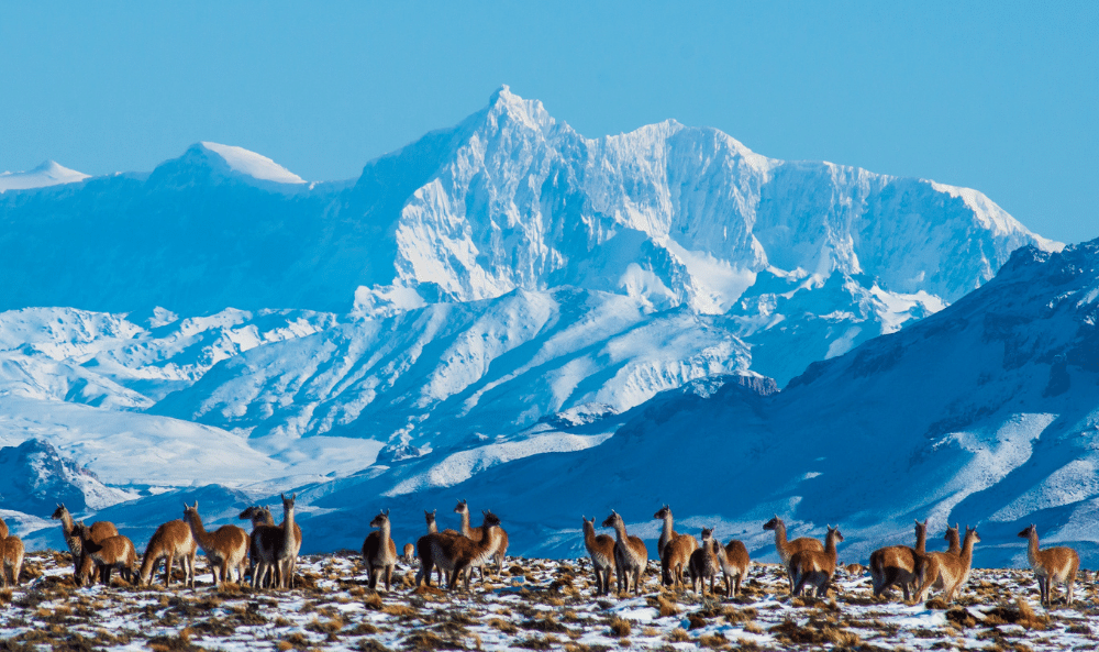 Ruta 41 - Mauro Prati