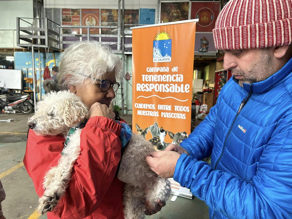 campaña Perros