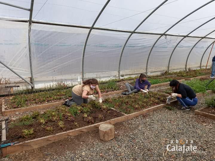 WhatsApp Image 2021-10-03 at 16.48.08 (1) [AUDIO FMD]