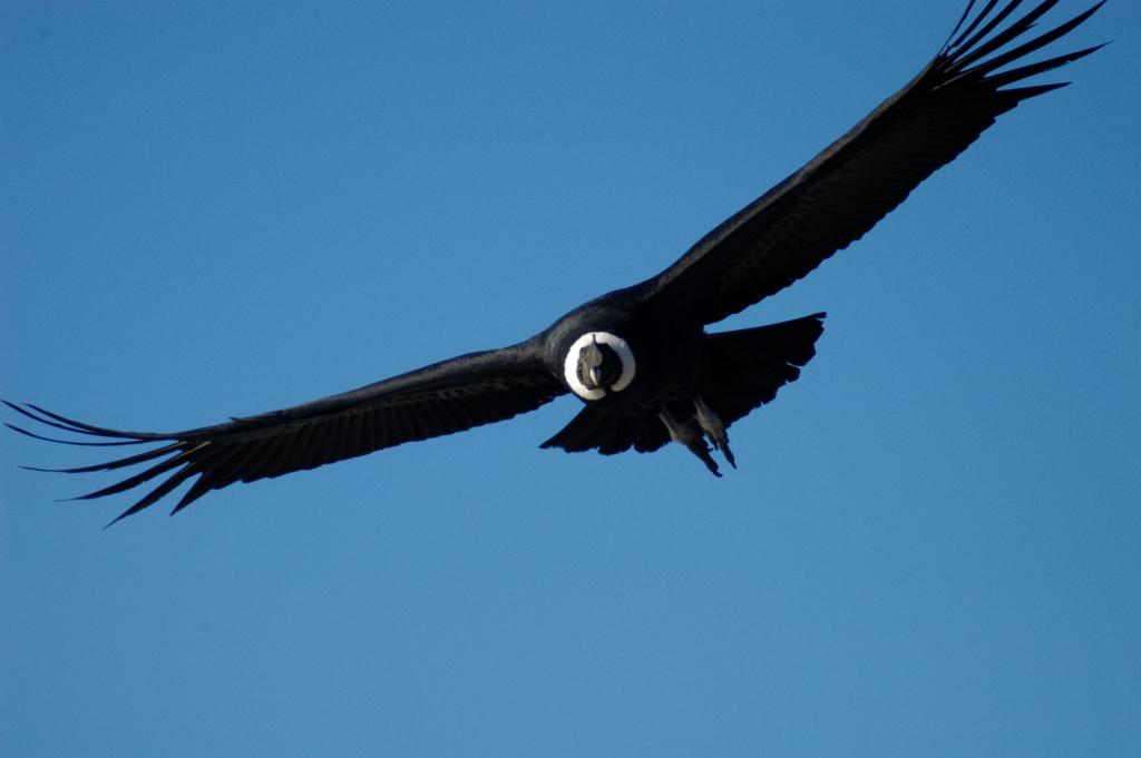 Archivo Tompkins Conservation 