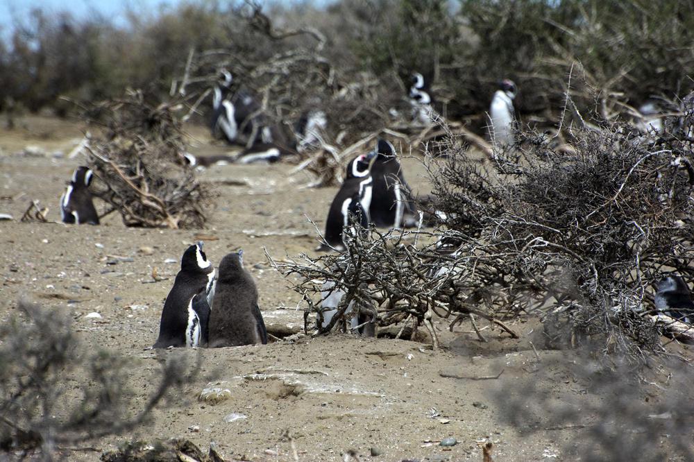 20230118PARQUE_NACIONAL_MONTE_LEON_MAKENKE_TURISMO_42