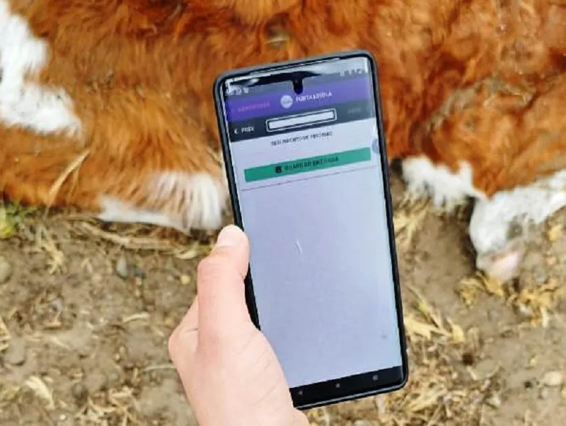 Seguimiento Perdidas (bis)