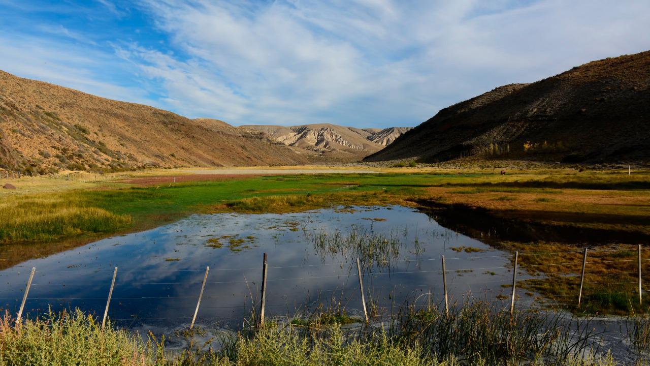 WhatsApp Image 2022-09-08 at 10.51.13