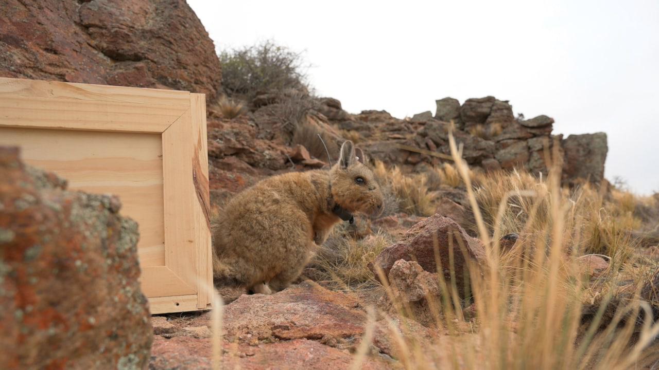 WhatsApp Image 2022-07-01 at 5.51.48 PM (1)