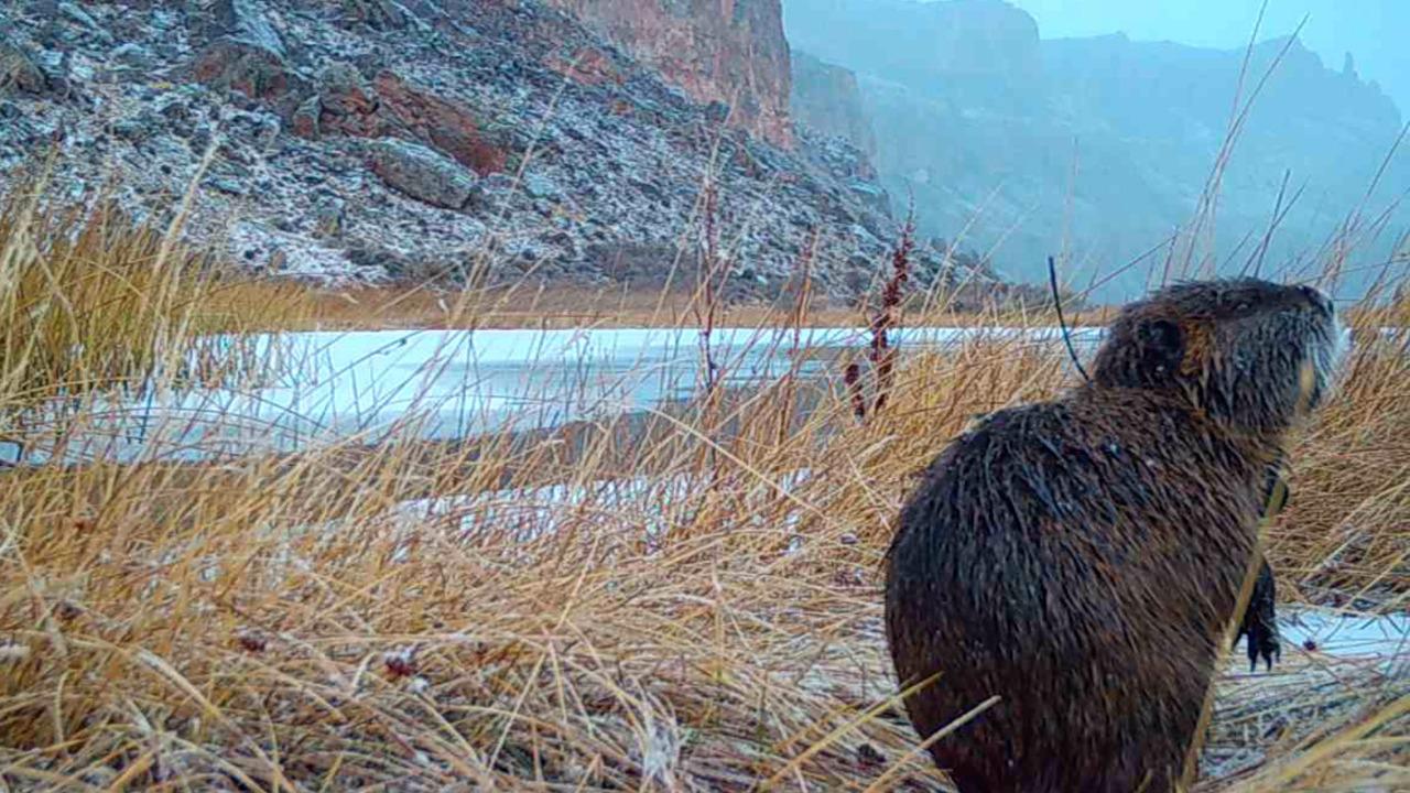 WhatsApp Image 2023-01-18 at 15.42.48 (2)