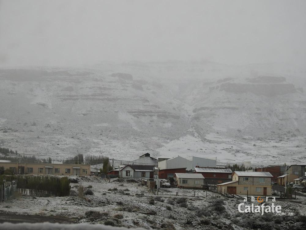 DSCN8798 [AUDIO FMD]