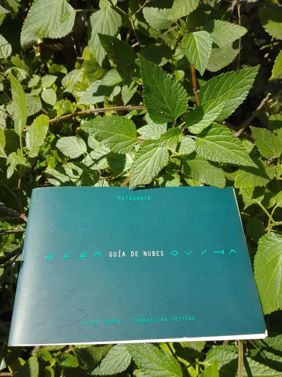 IMG_20220722_125957_612