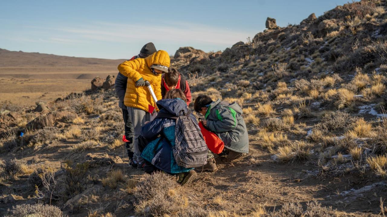 WhatsApp Image 2022-07-29 at 10.54.40 AM