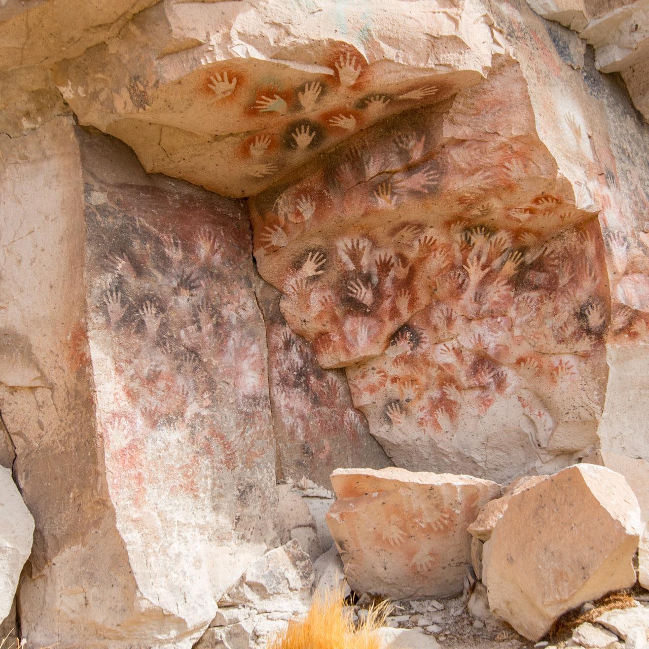 WhatsApp Image 2023-03-30 at 11.08.06