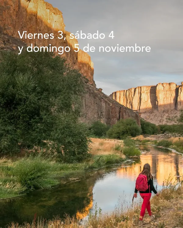 2704BCFB-A867-482B-9C2C-8F3BA0BB9952