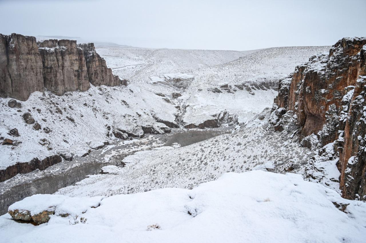 WhatsApp Image 2022-05-27 at 9.52.58 AM