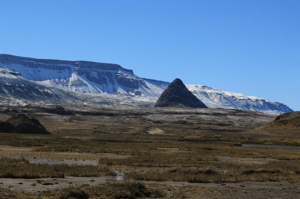 WhatsApp Image 2022-01-12 at 10.36.37