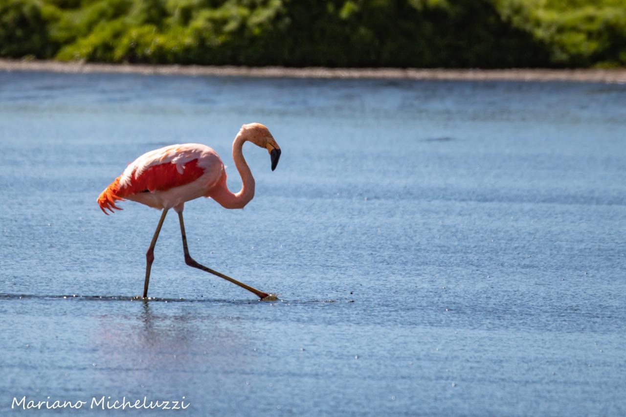 Visitas a Laguna NImez2