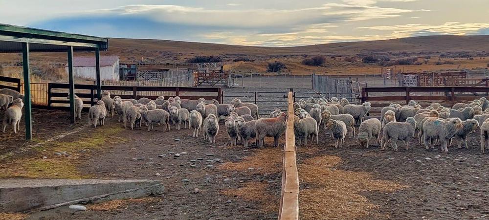 WhatsApp Image 2022-08-29 at 20.56.15 (1)