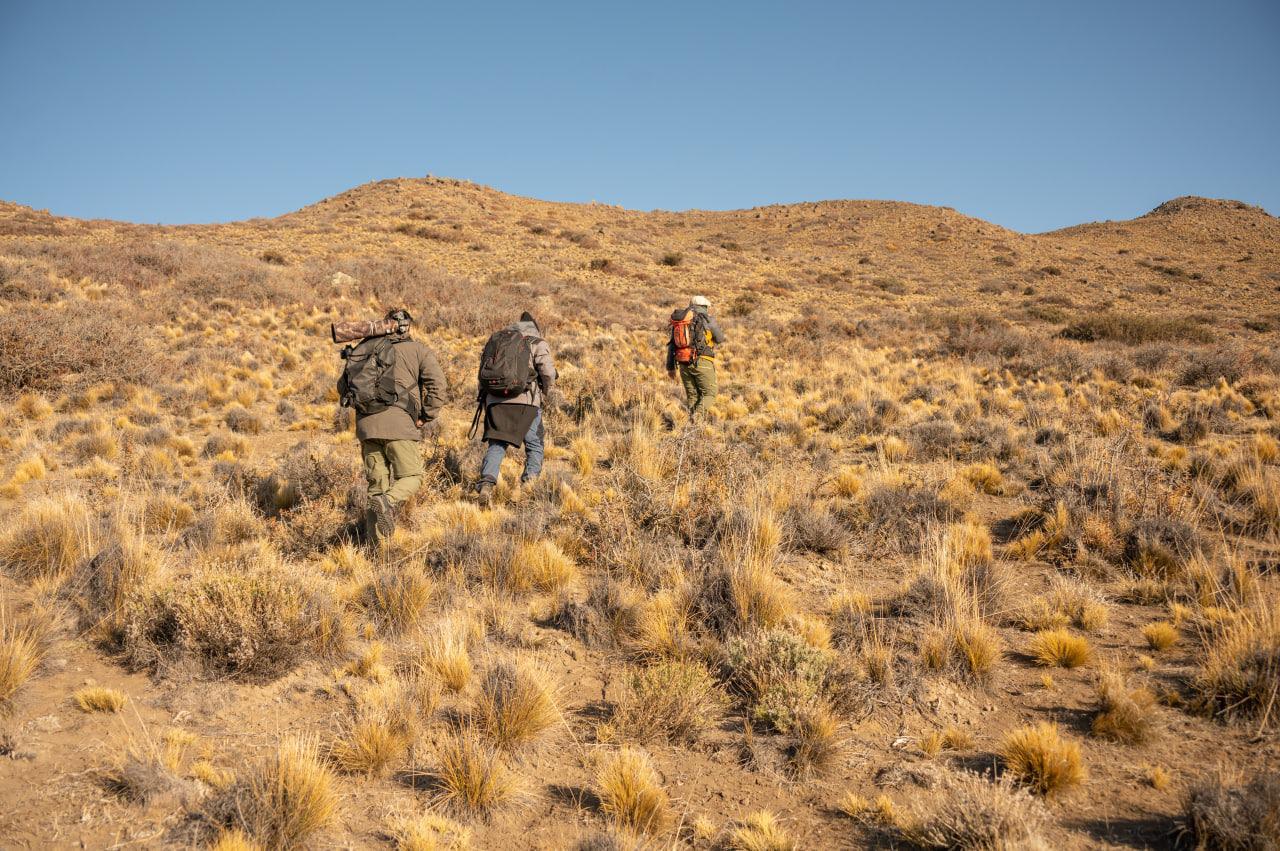 WhatsApp Image 2023-03-20 at 08.29.54 (3)