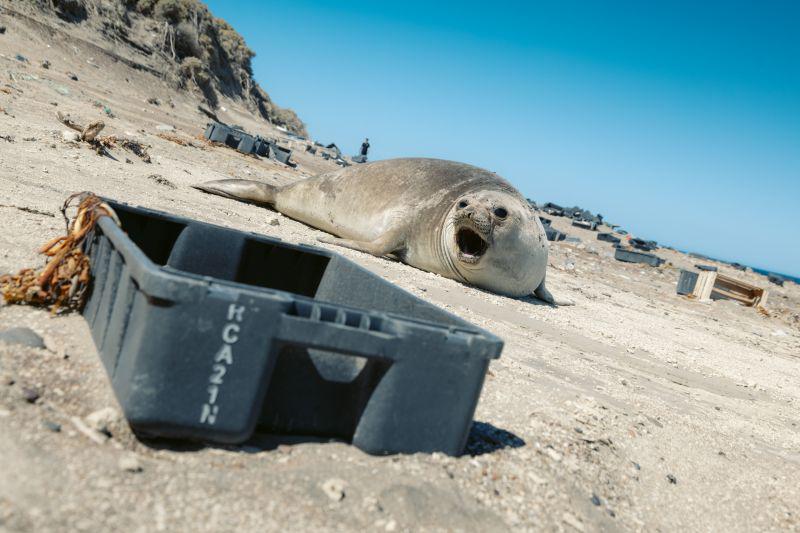 18733-post-1683322247