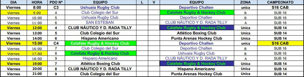Hockey Pista Sub 14 y sub 16 Viernes