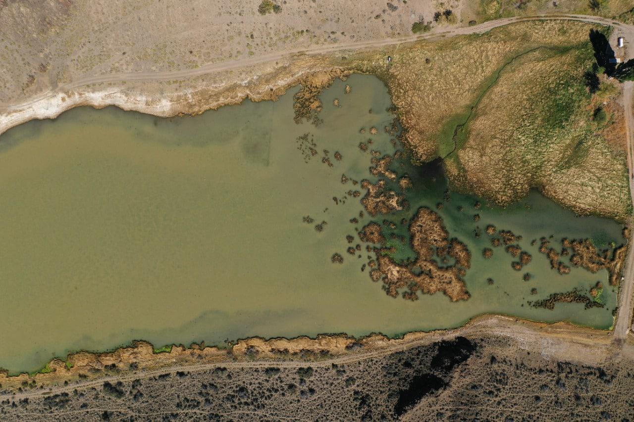 WhatsApp Image 2022-11-10 at 17.50.52