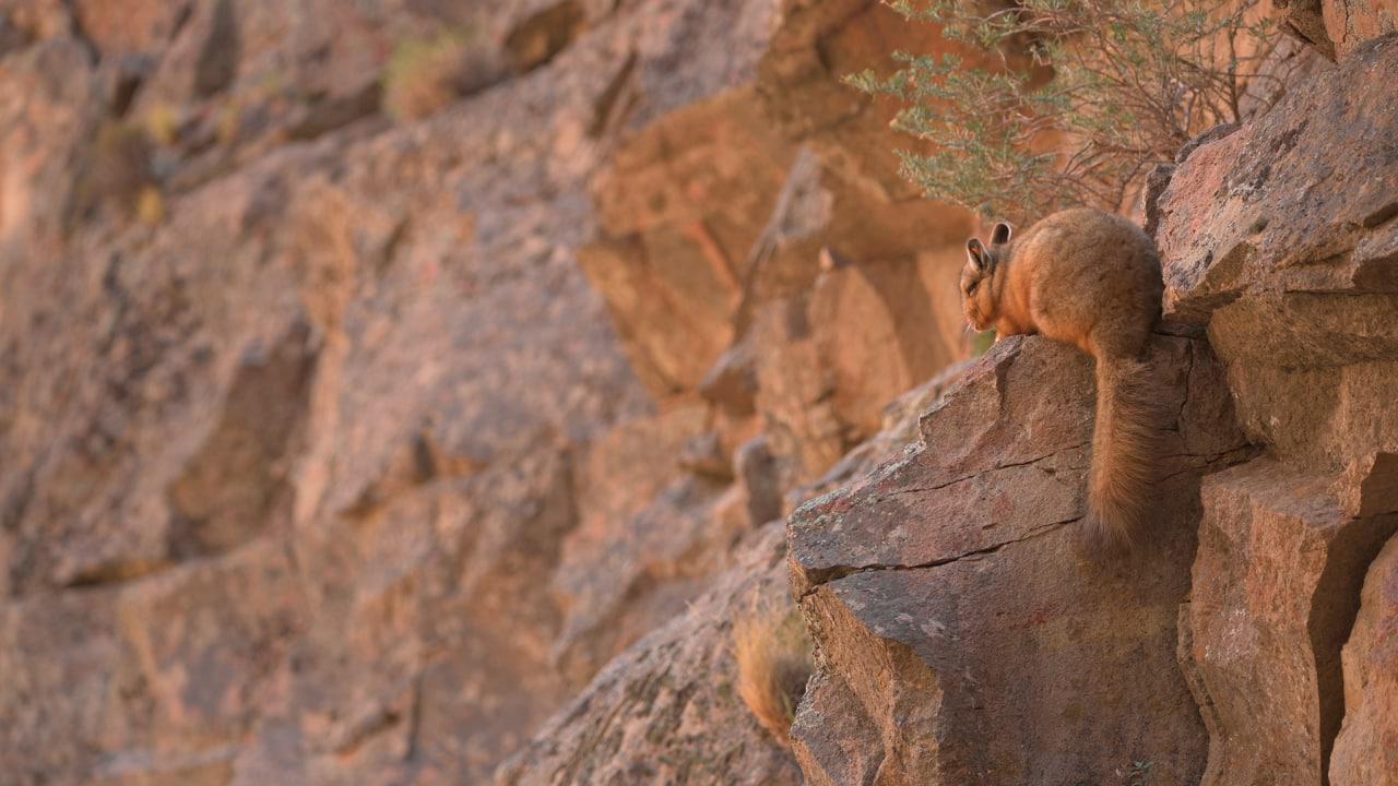 WhatsApp Image 2022-07-01 at 5.51.49 PM