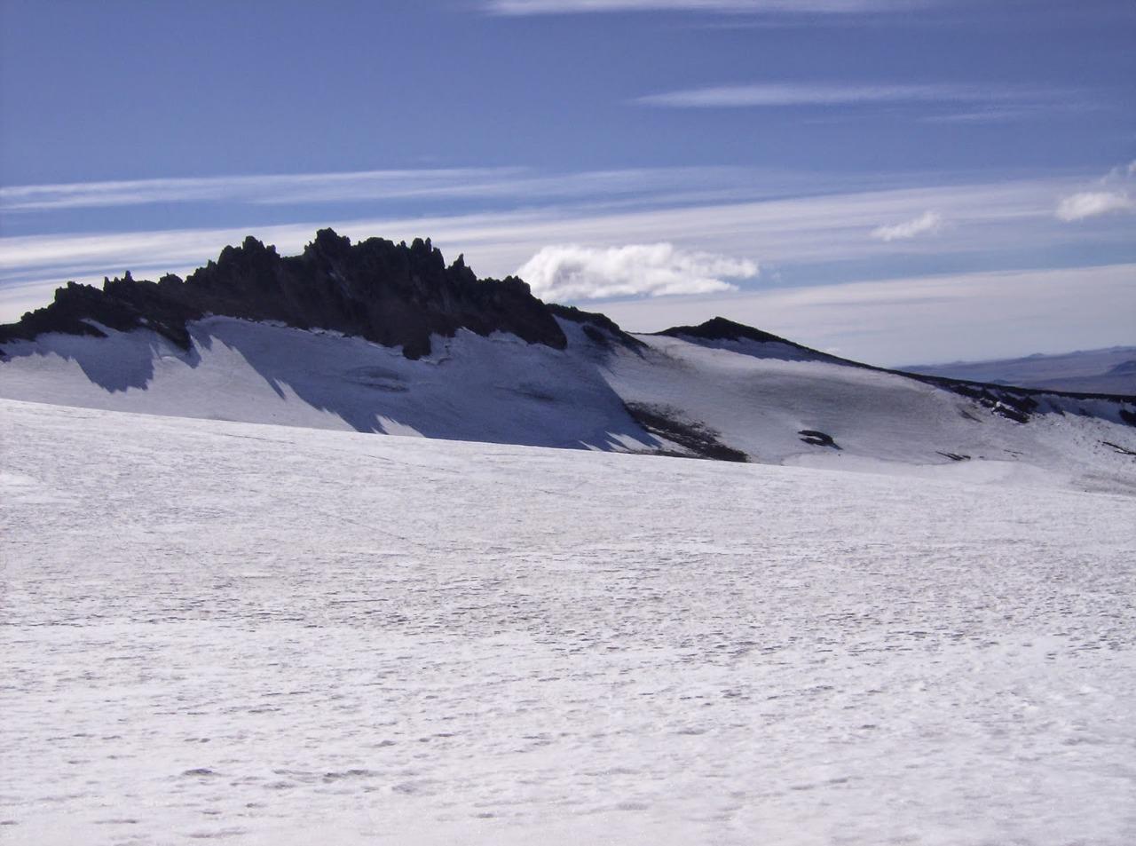 WhatsApp Image 2022-07-22 at 9.57.39 AM