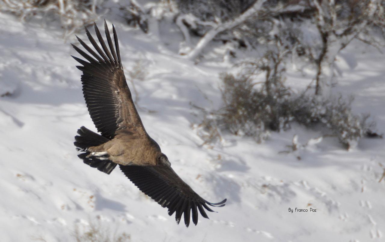 WhatsApp Image 2022-04-29 at 9.45.57 AM (1)