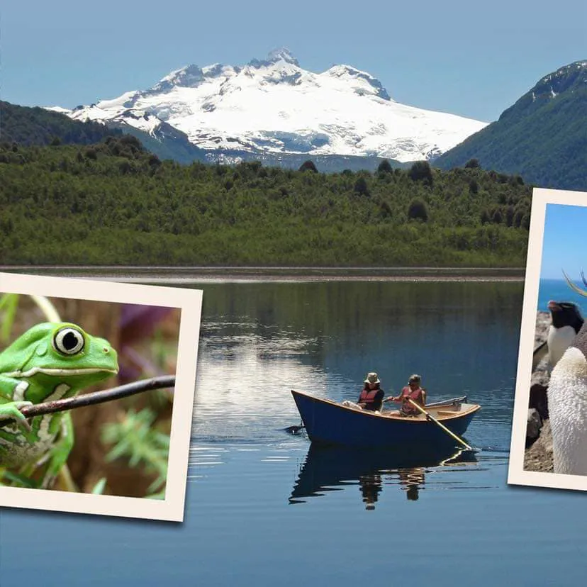 375156759_323725933360164_3799465139792326532_n