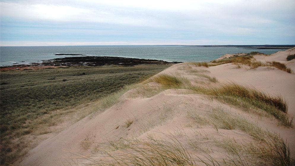 Caleta-Hornitos_Golfo-San-Matías_Raúl-González-WEB