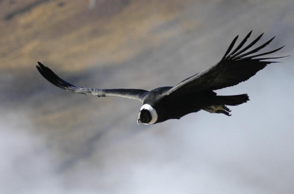 WhatsApp Image 2022-01-12 at 10.36.42