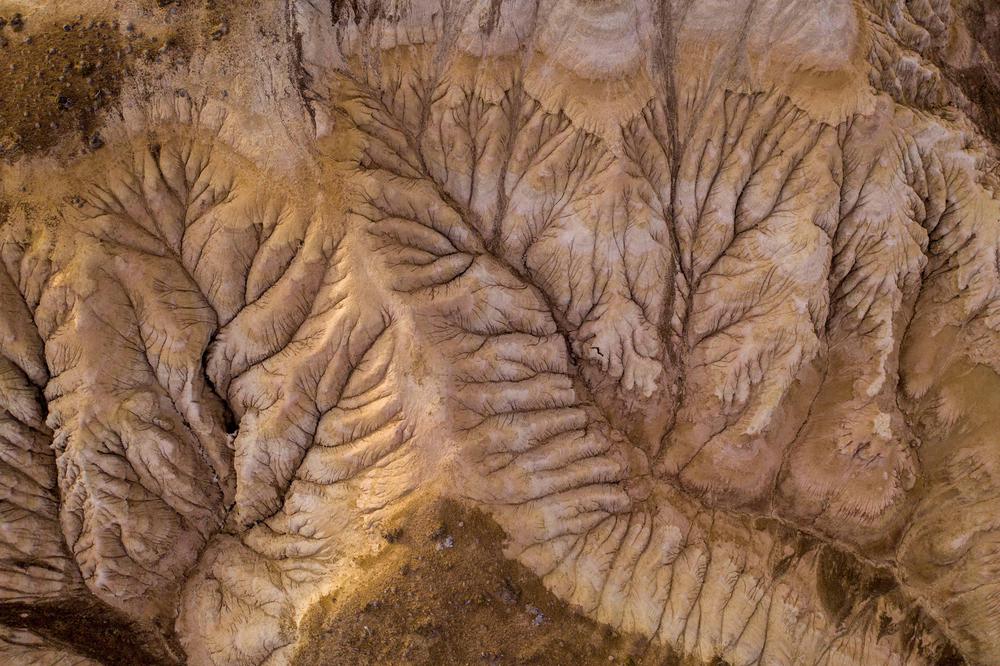 PARQUEPATAGONIA-GONGRANJA-2