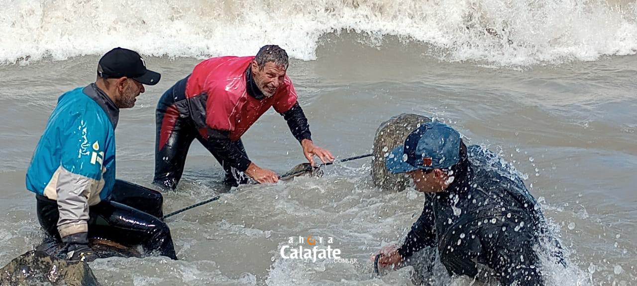 Bomba aeroclub [AUDIO FMD]