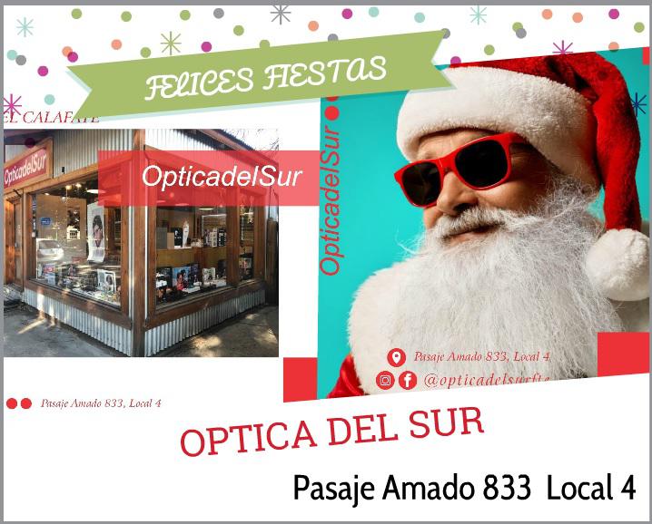 OPTICA DEL SUR WEB