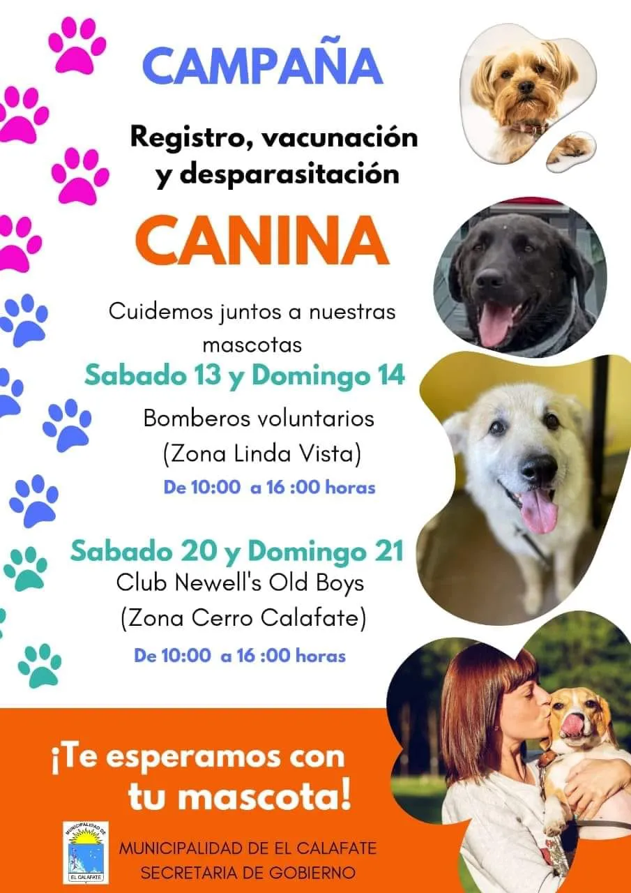 13 14 19 20 Chiipeo Vacunacion