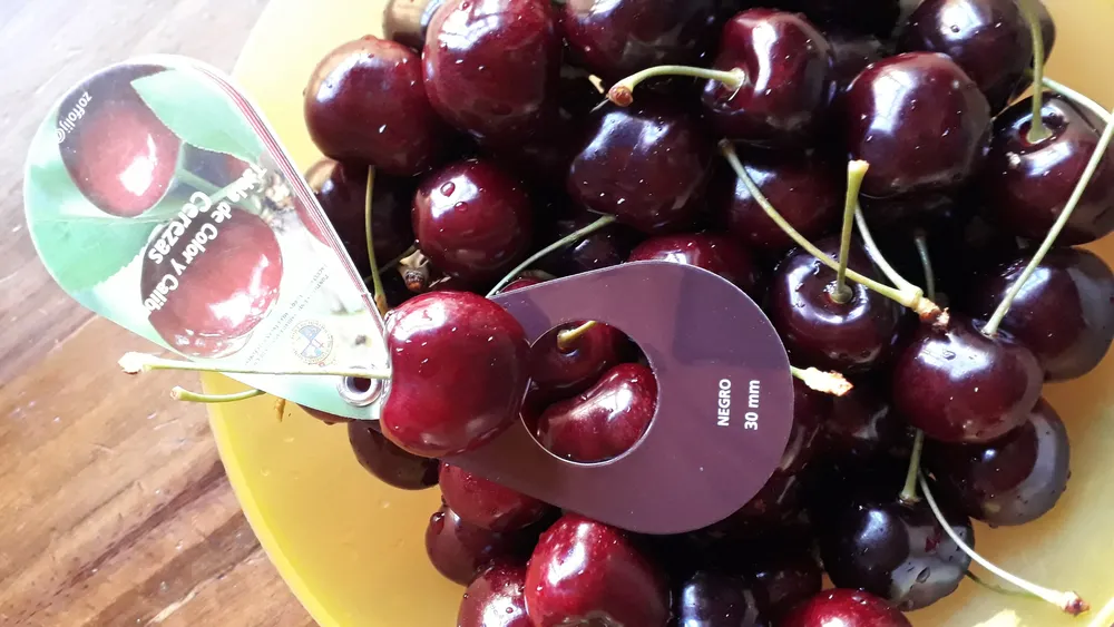 Cerezas LosAntiguos (3)