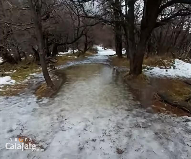 senderos1 [AUDIO FMD]