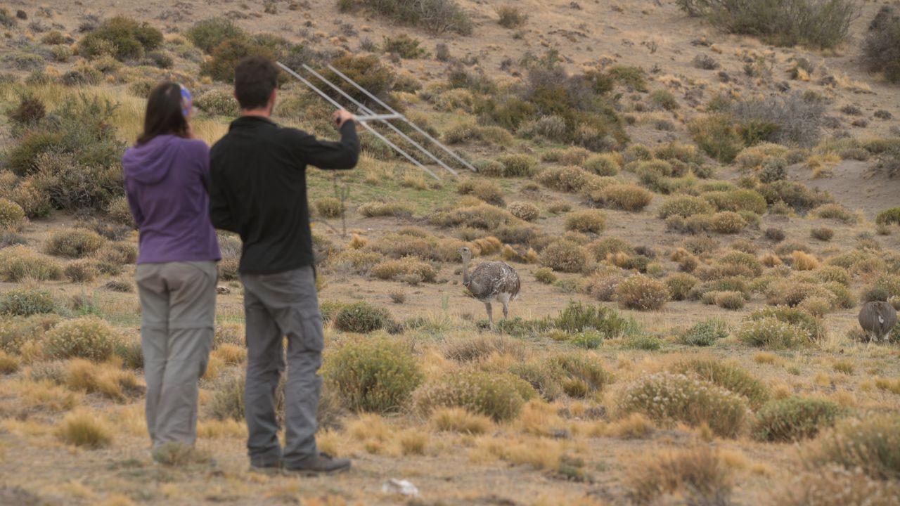 WhatsApp Image 2023-02-11 at 10.45.26